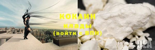 винт Ельня