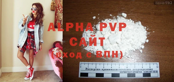 винт Ельня